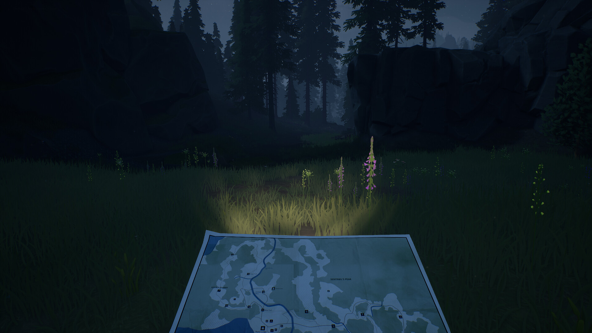 Radiolight gameplay showing the player looking down at a map with a flashlight while walking towards dark woods