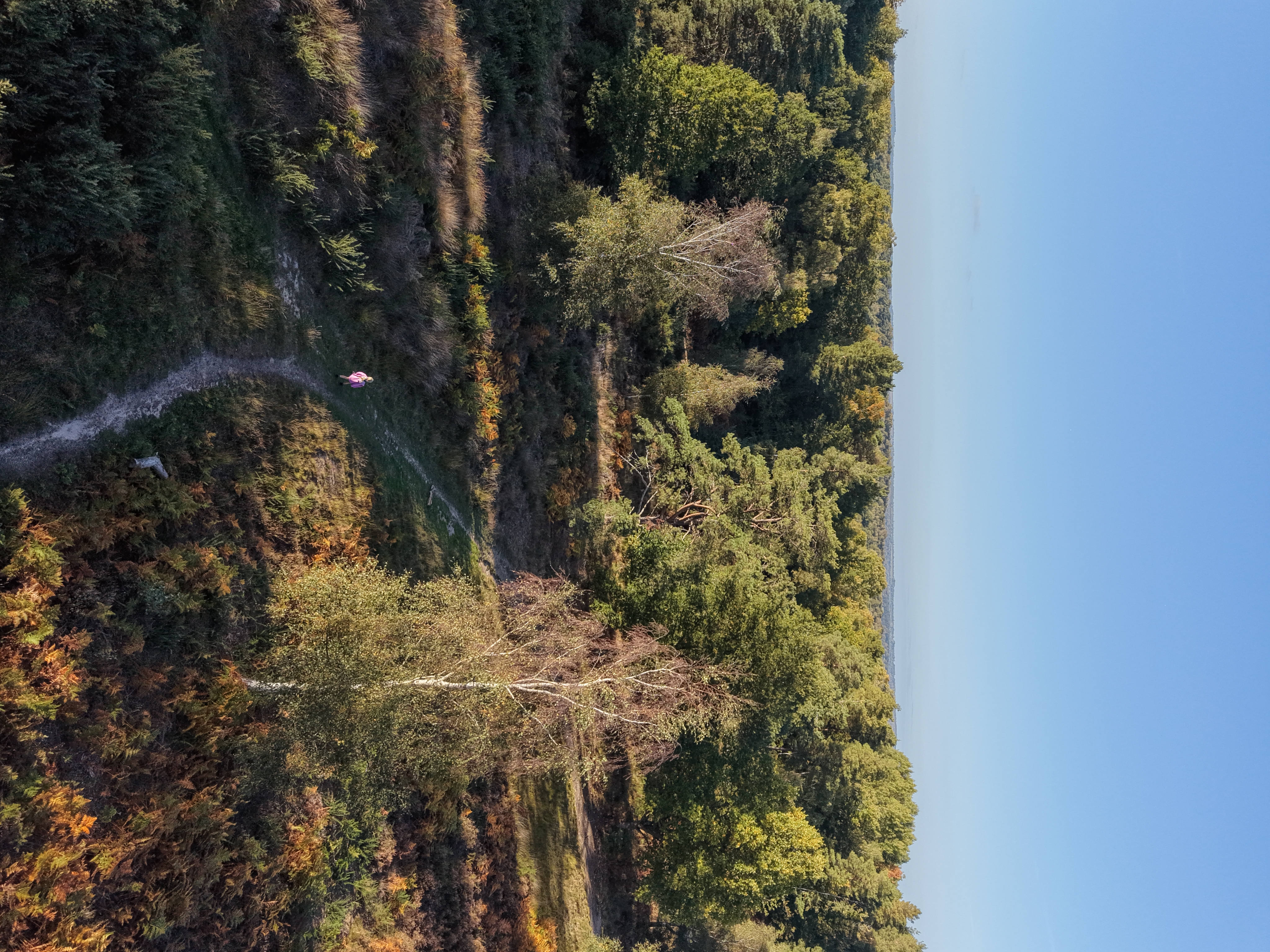 DJI Mini 5 Pro sample images: aerial view of a UK heathland and footpath