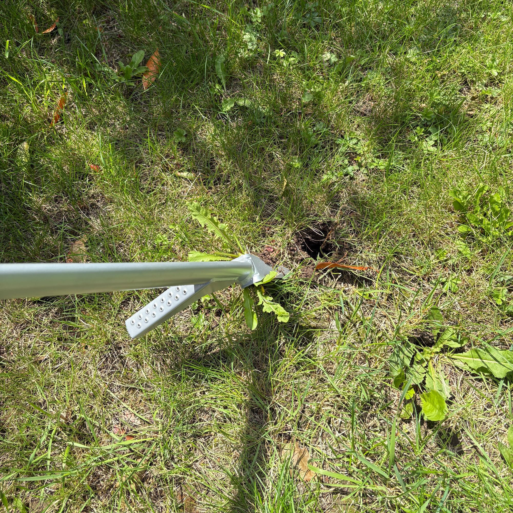 GARDENA Weed Puller removing weeds from lawn