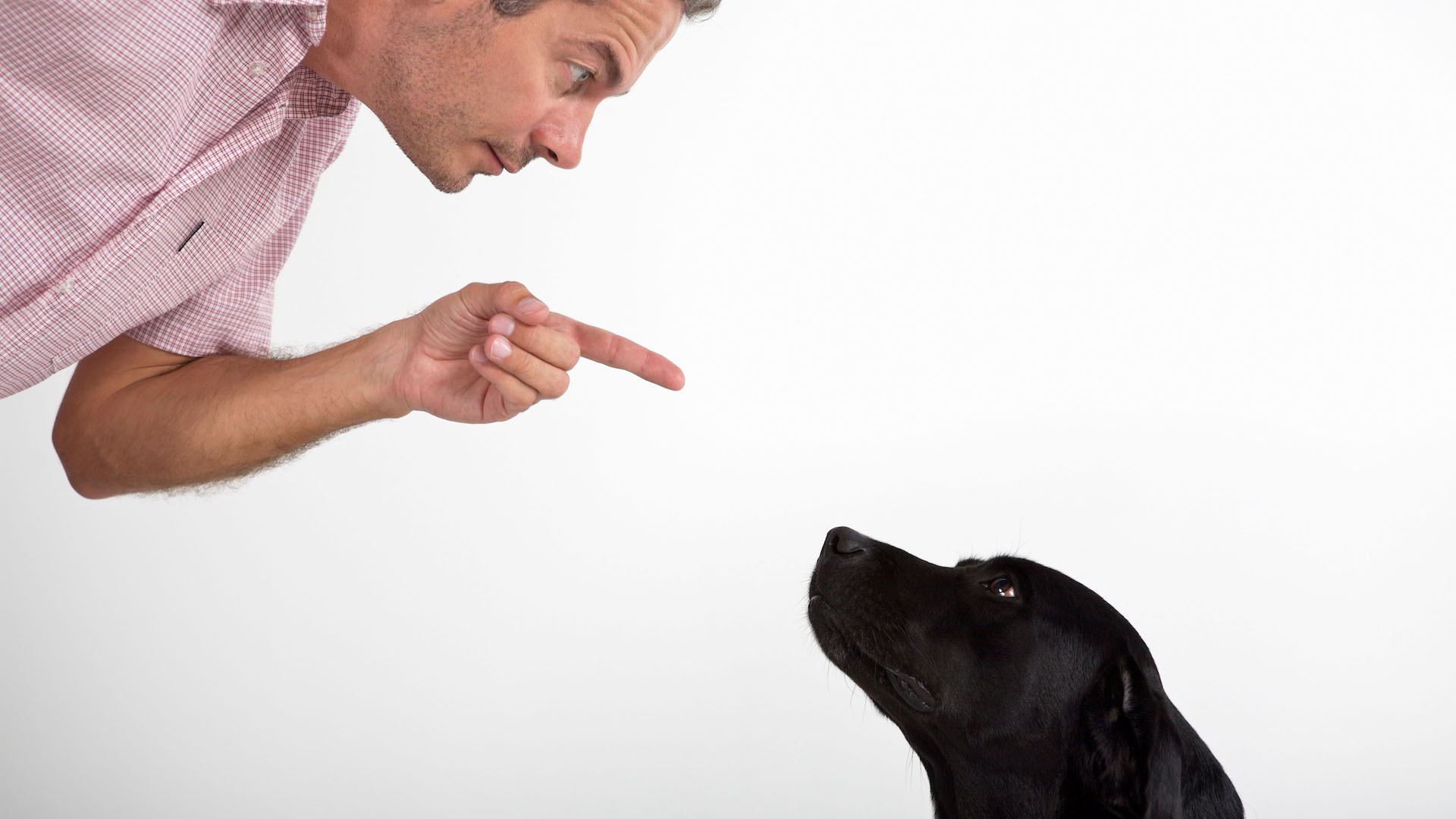 Man reprimanding dog