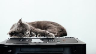 The best printers for your home in 2020