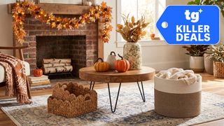 Home Decor deals