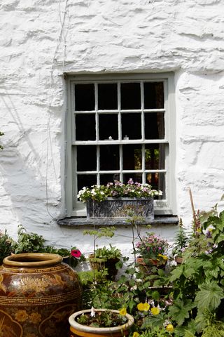 timber windows in a cottage