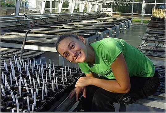 Monica Gagliano, plant acoustics researcher.