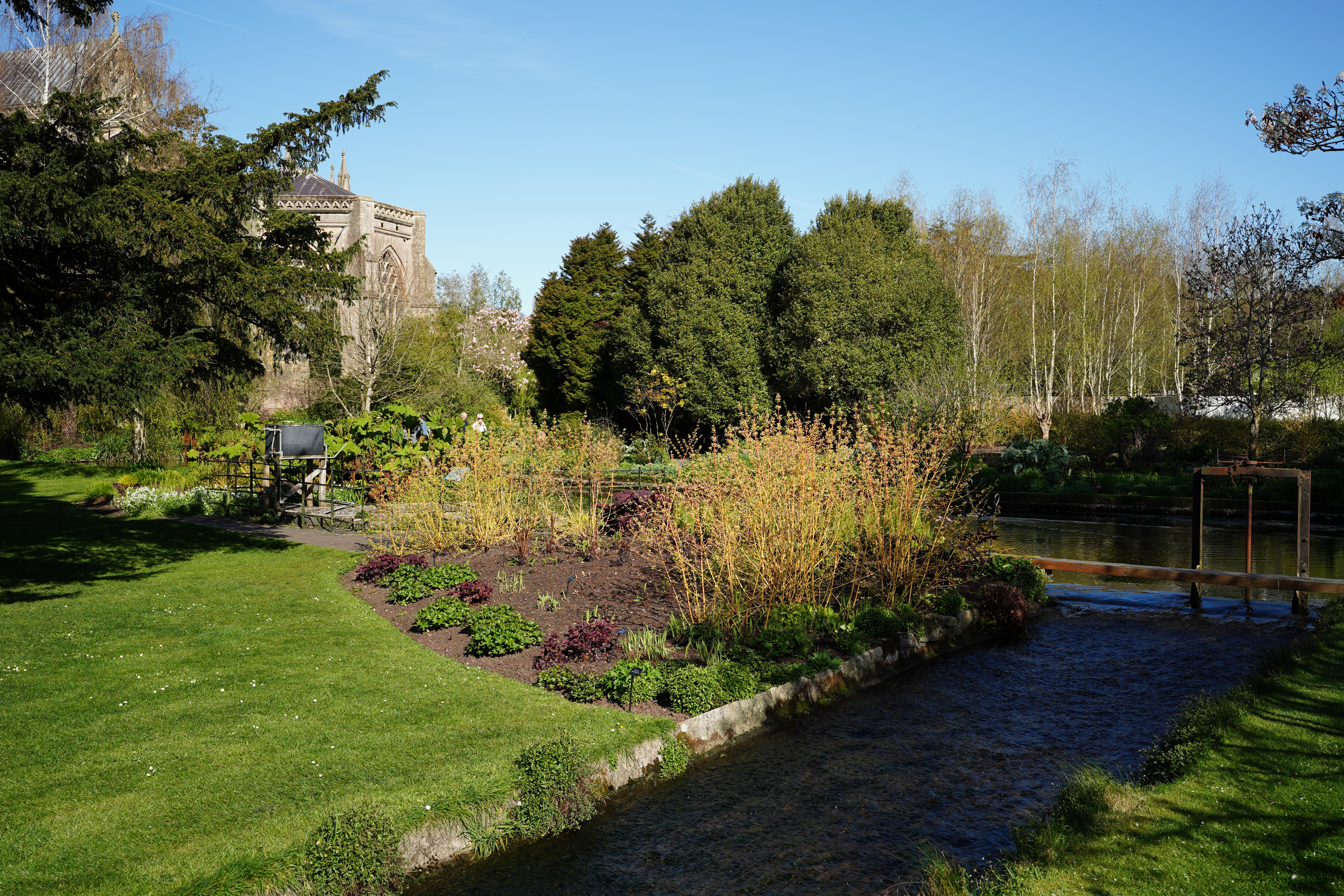 Sigma 35mm f/1.4 DG II Art sample image