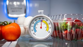 Refrigerator thermometer with colorful food in cold storage unit