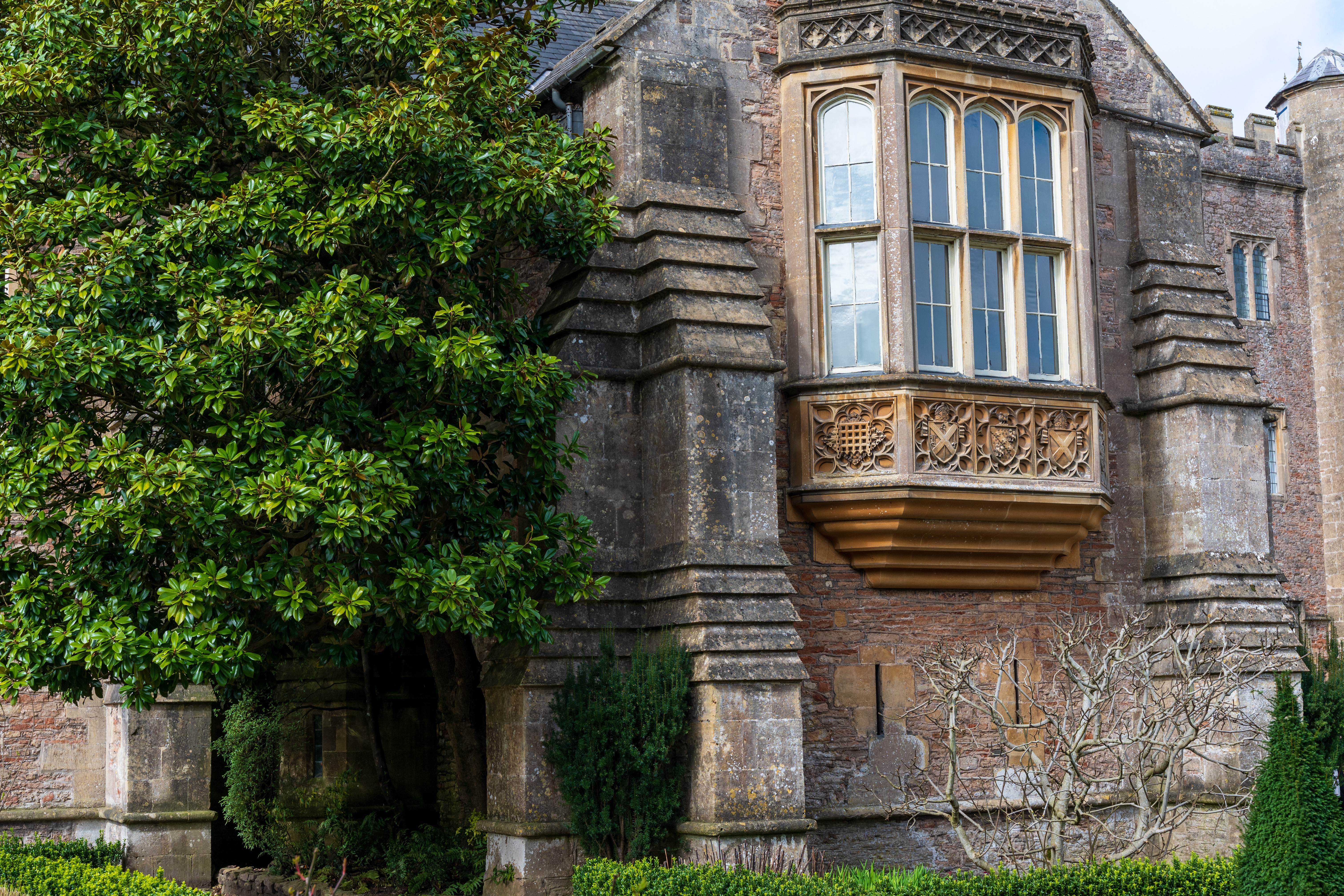 Viltrox AF 55mm f/1.8 Evo sample image