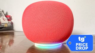 Google Home Speaker shown on table