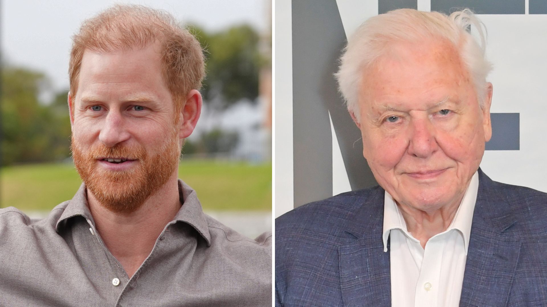 A composite of a picture of Prince Harry in 2026 and a picture of David Attenborough in 2022
