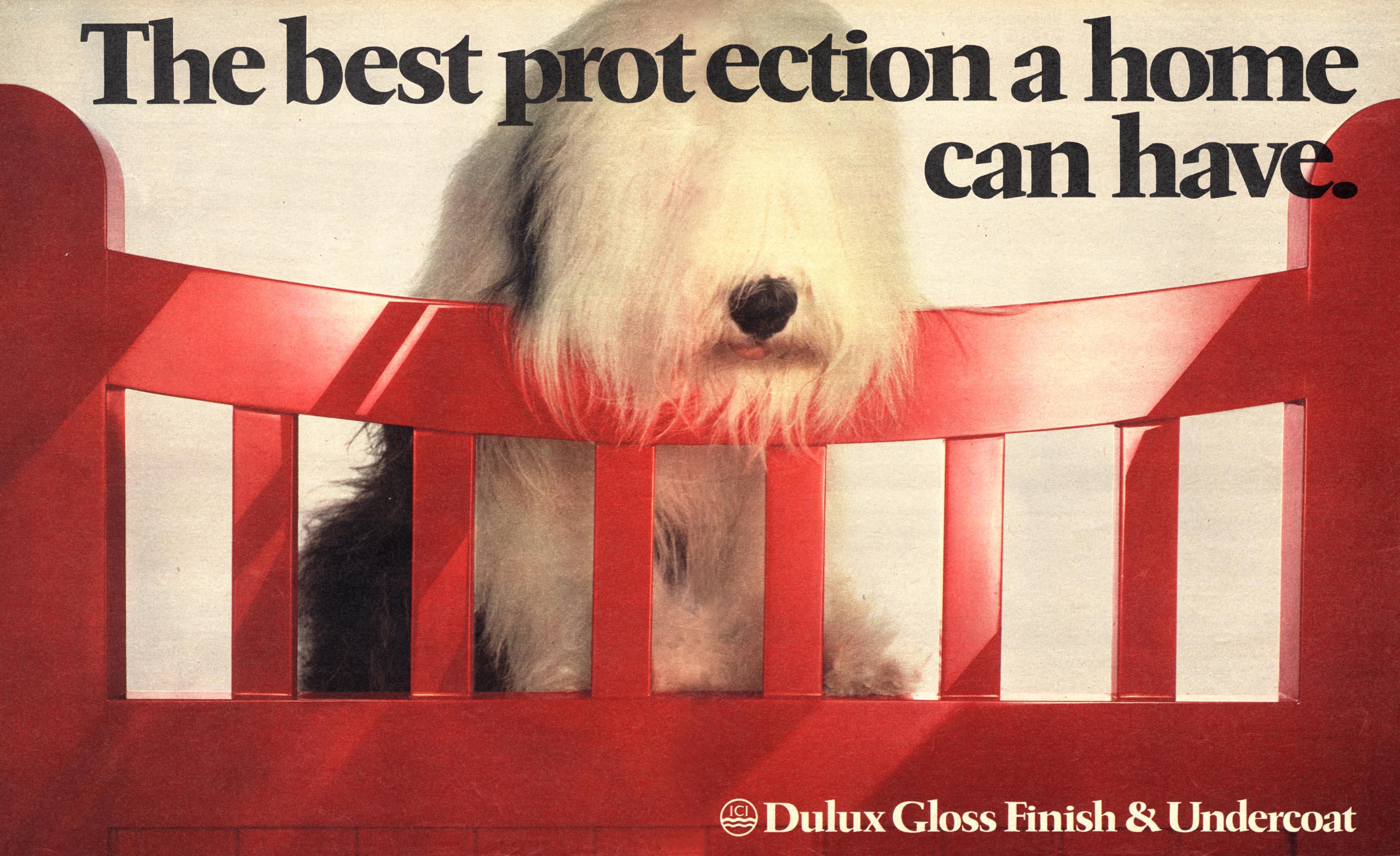 A series of vintage Dulux advertisements featuring old English sheepdogs: painted dog kennels shown in different colours and seasons; a sheepdog carrying a bouquet of flowers in its mouth for the “Dulux Matchmaker” campaign; a sheepdog sitting in a warmly decorated living room promoting calming interior shades; a sheepdog peering over a bright red gate beside text about home protection; and a close-up of a sheepdog’s face next to a blue door under the headline “Our pedigree.”