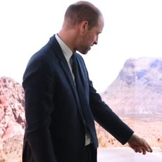 Prince William wearing a blue suit and standing in front of a green screen with a mountain scene