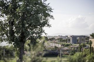 low timber volumes in green context at Adler spa resort Sicily