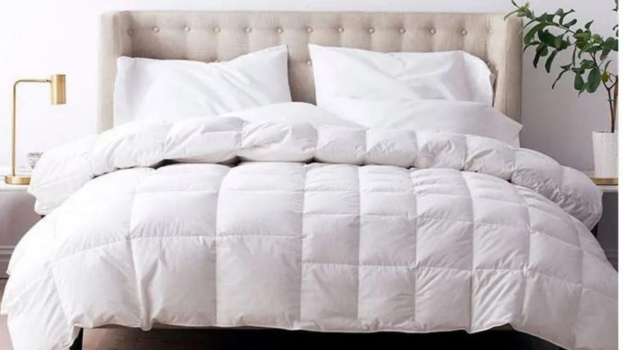 LaCrosse Premium Down Light Warmth Comforter review: this breezy ...