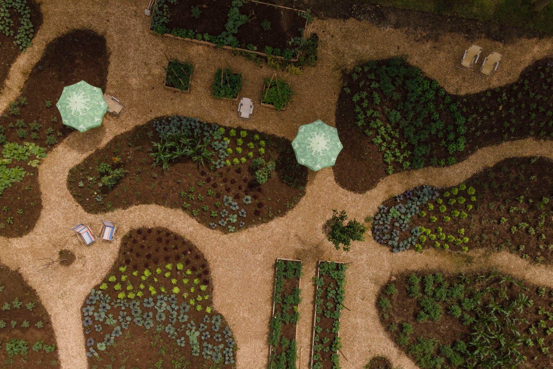 A series of pictures depicting the interior and exterior grounds of a sprawling resort, immersed in nature, between vineyards, gardens, and spa pools, and decorated with crafty artifacts.