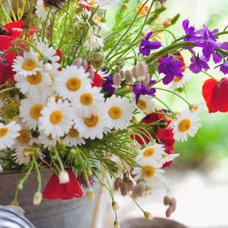 Container with mixed flower bouquet including Daisies, Argyranthemum frutescens, and red Field poppies