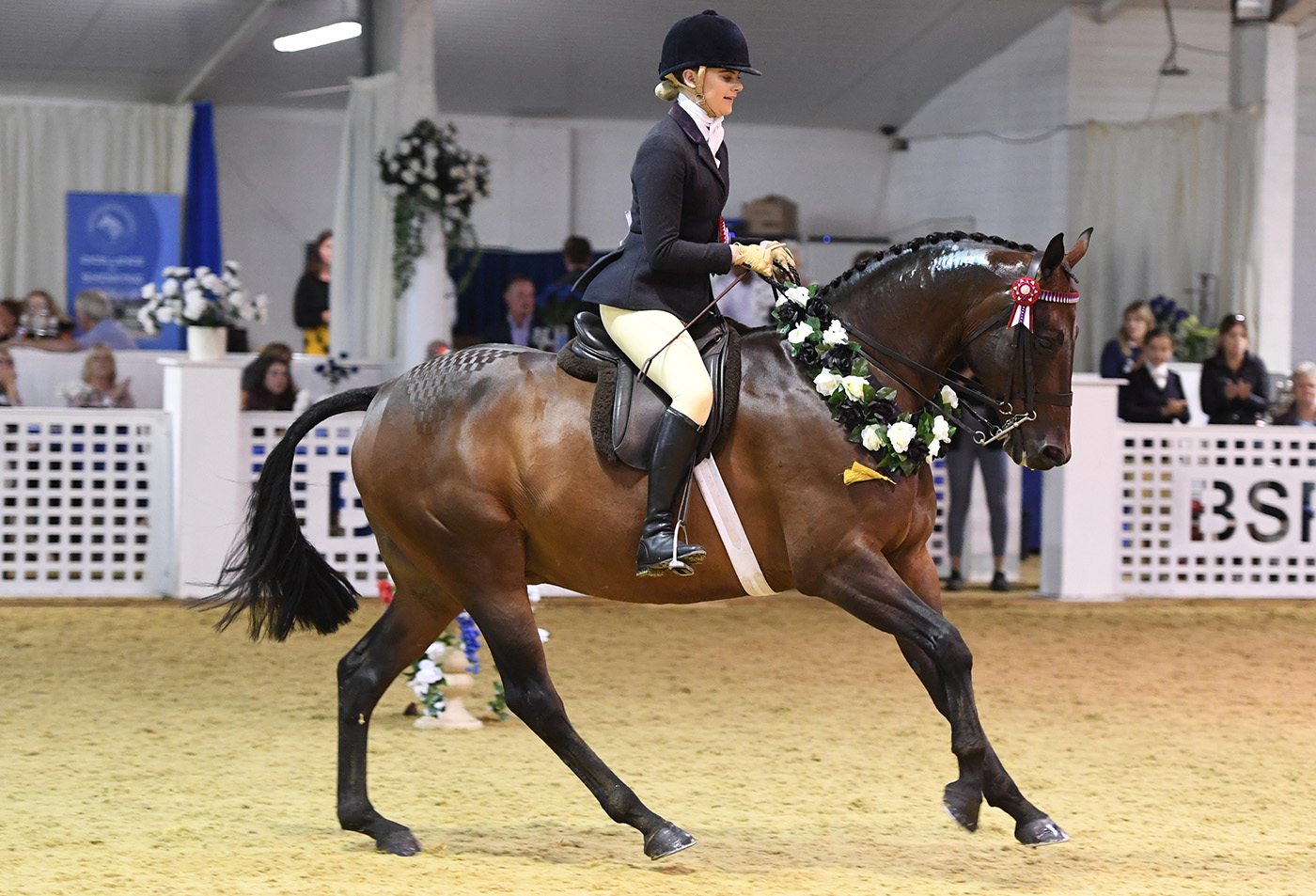 Holmestones Tailor Made and Charlotte Elliott-Grooby are supreme intermediate at the BSPS championships in 2019