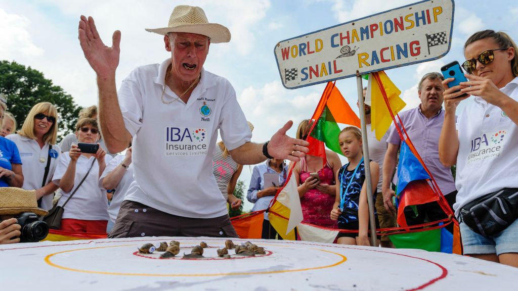 British country sports: snail racing