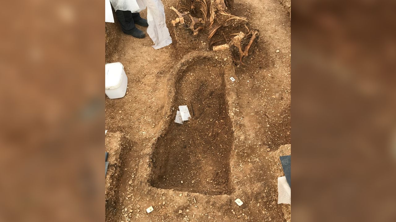 A chariot along with two ponies found&nbsp;in a leaping pose were buried near the remains of a man who was in his 40s when he died.