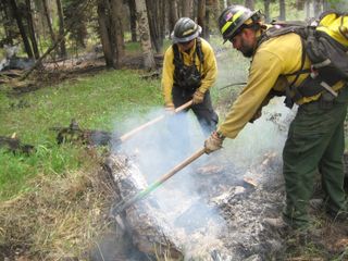 Firefighters turn over a burning log to dissipate heat, while fighting the Little Sand fire on May 28, 2012.