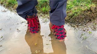 Danner Mountain 600 Insulated winter boots in water
