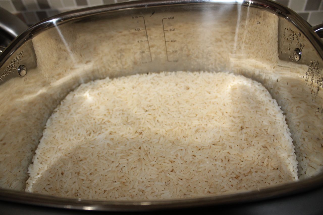 Cooked rice in the Wolf Gourmet Multi-Function Cooker