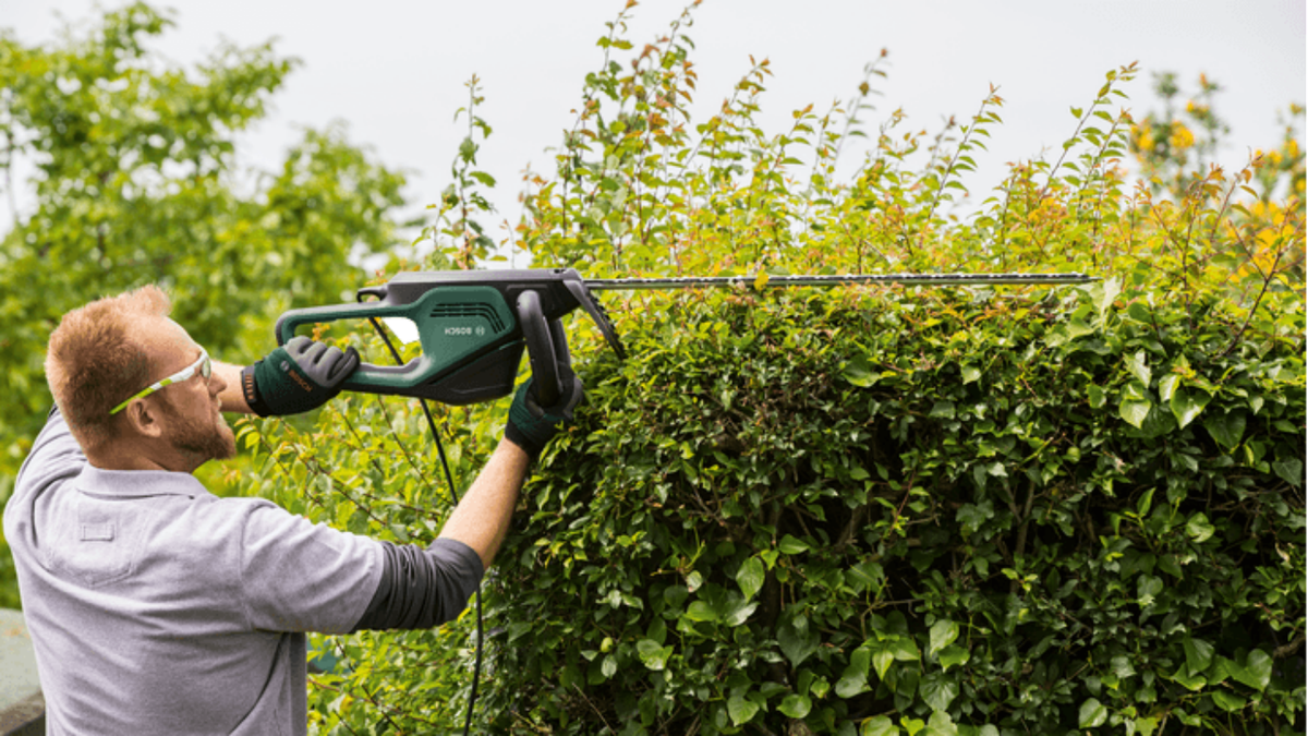 Best power tools to use in the garden The Week