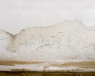 Mold growing on wall following rainwater damage