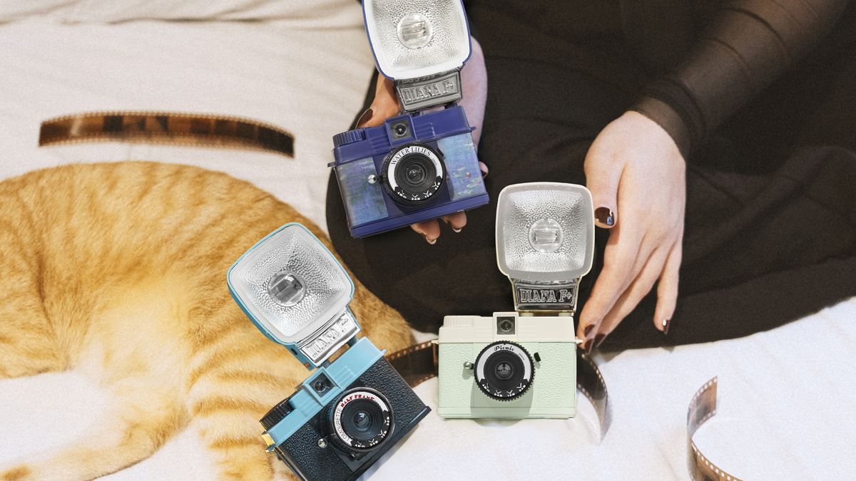 Three Lomography Half-Frame Lomourette in each color option sit on a bed with a cat and a person