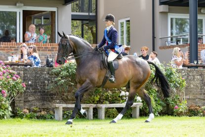 Tidy Town and Alice Homer canter around the international arena having won the small hunter title at the 2026 Royal International Horse Show