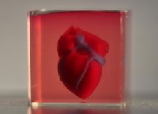Scientists 3D printed a heart the size of a rabbit's using human tissue.
