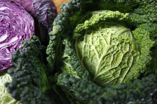 Cabbage soup diet: A close up of a cabbage