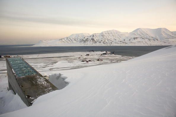 Arctic seed bank