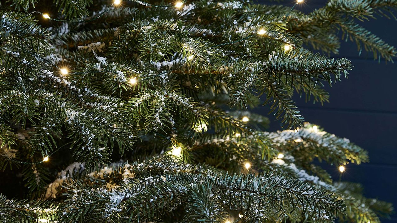 Christmas tree branches with warm white lights