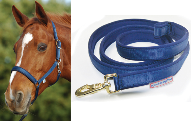 Horse-Present