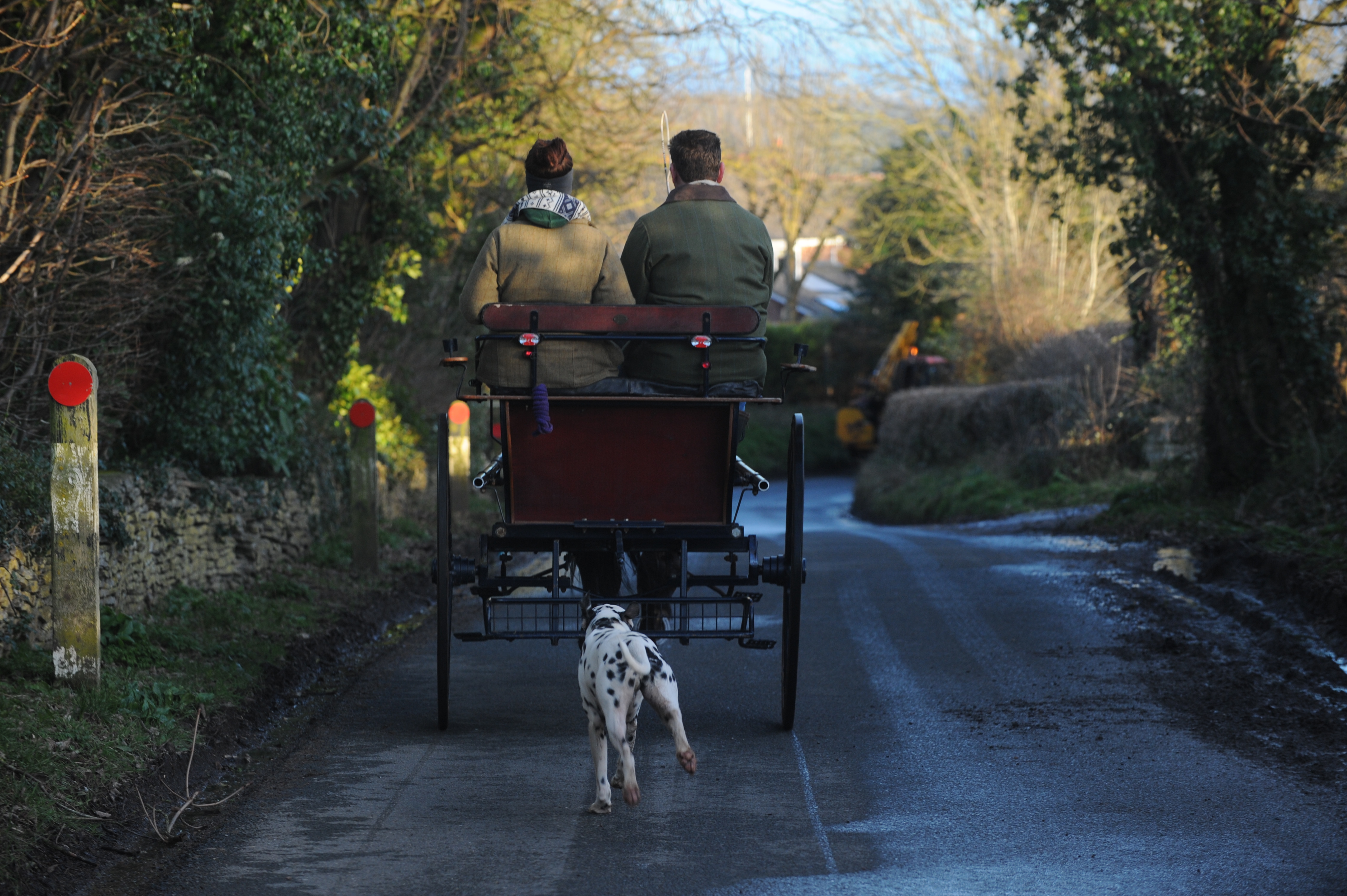 A dalmatian trots behind a horse-drawn carriage carrying two passengers along a narrow country lane lined with trees and stone walls.