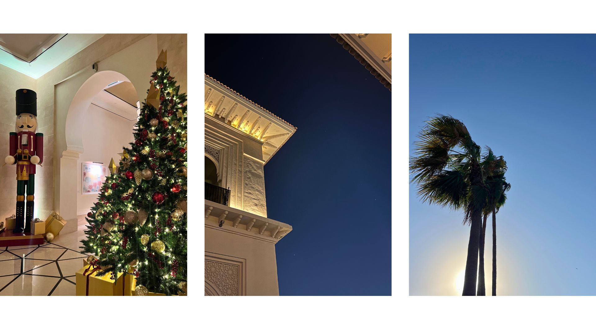 a hotel Christmas tree, a view of the starry skin and a palm tree in the wind in Dubai