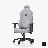AndaSeat NovisPC Gamer Score: 69%