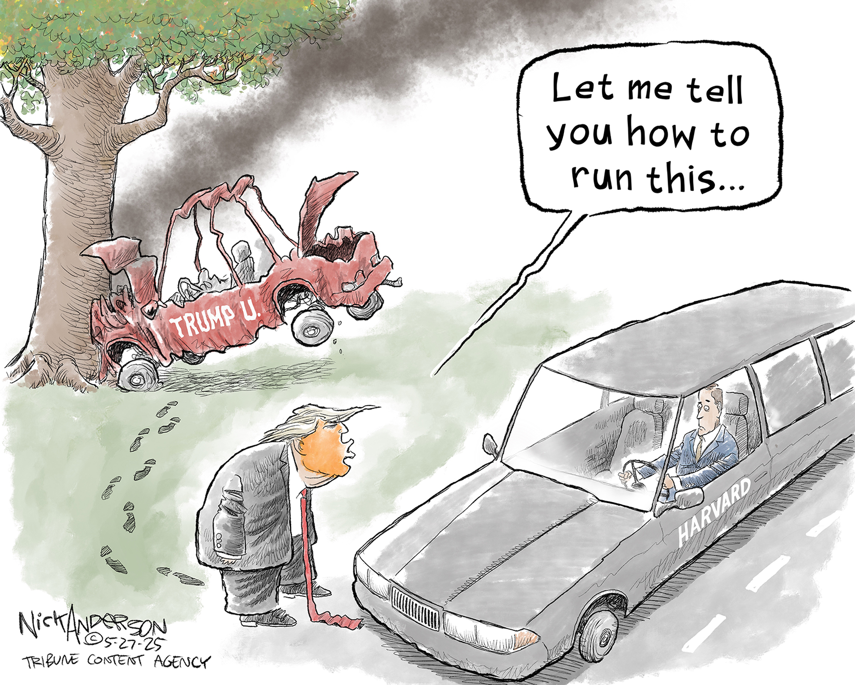 This political cartoon depicts Donald Trump standing beside a crashed red car labeled "TRUMP U," which is wrecked against a tree and smoking. Footprints lead from the crashed car to where Trump stands. He is facing a man driving an undamaged gray limousine labeled "HARVARD." Trump is saying to the limousine driver, "Let me tell you how to run this..."