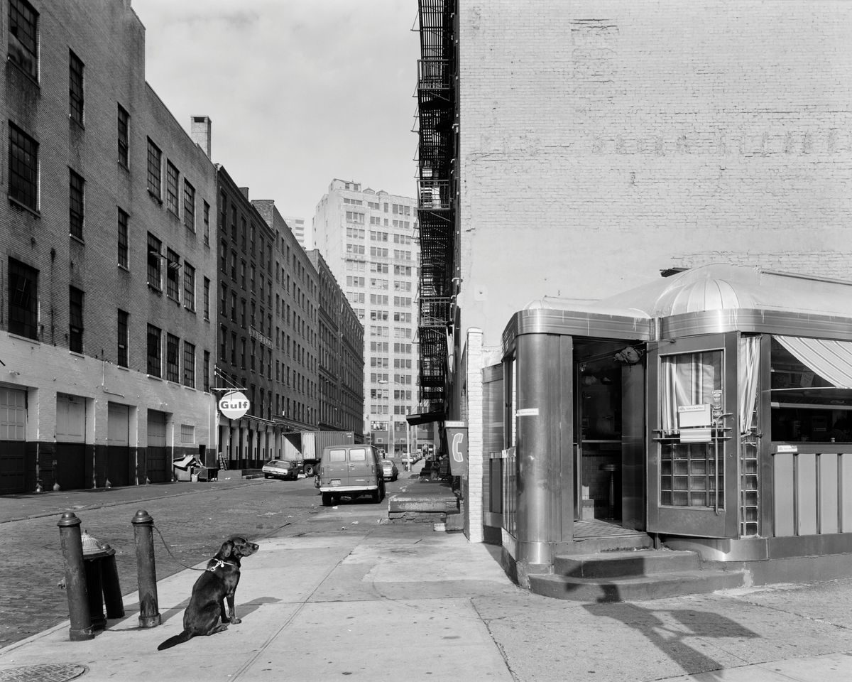 A dog on a leash sits alone on a sidewalk beside a row of bollards, facing an empty street and a round diner entrance.