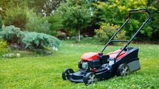 A lawnmower in a yard 