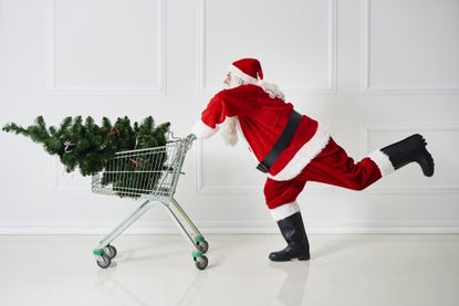 Father Christmas pushing a supermarket shopping trolley containing a Christmas tree