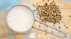 Hemp milk