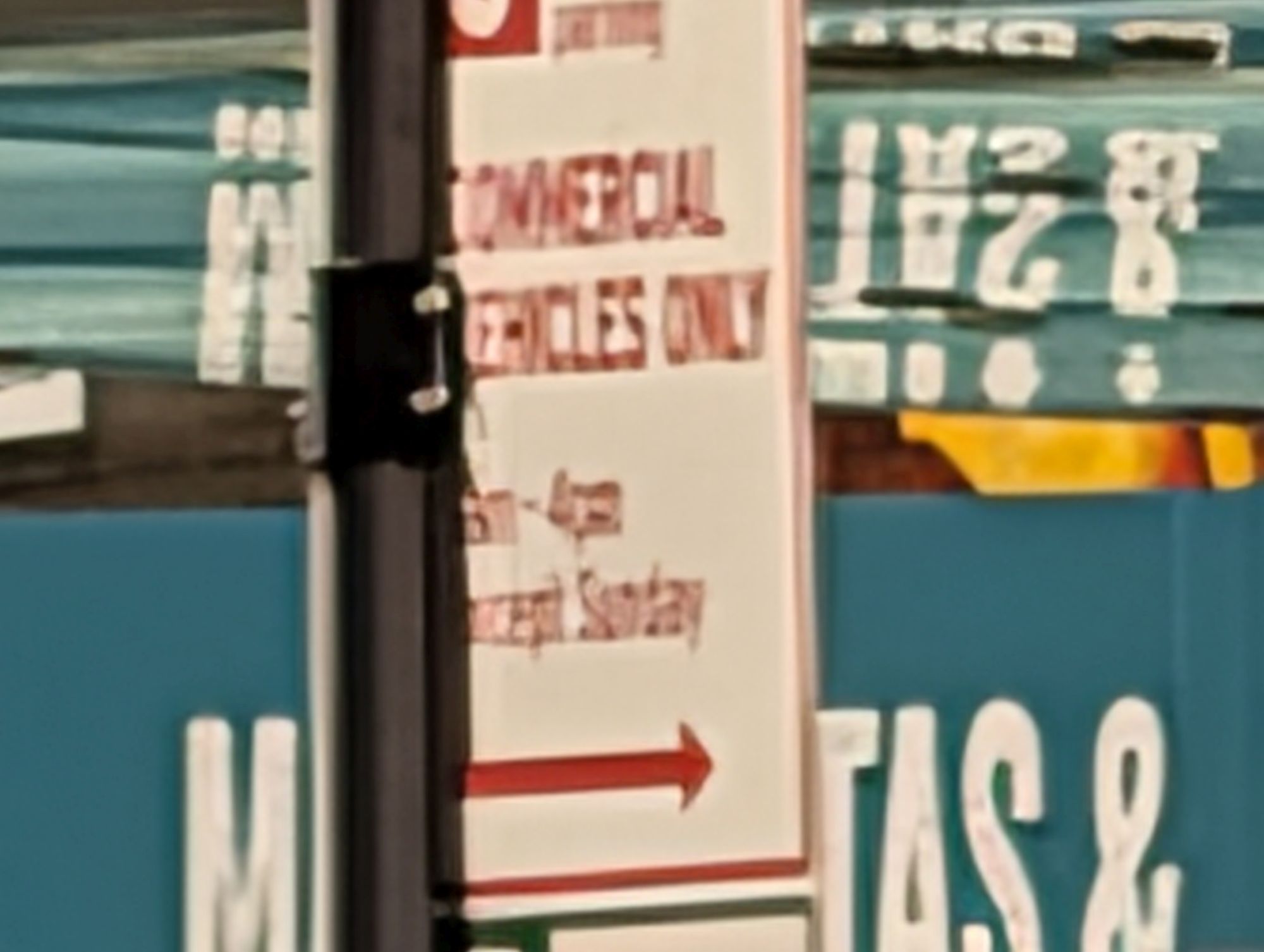 Google Pixel 10 Pro XL Pro Res Zoom sample.