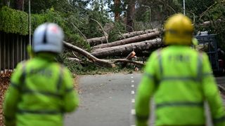 A fallen tree blocks a road in the background (in focus) while two emergency workers in green high-vis jackets and helmets approach in the foreground (out of focus)