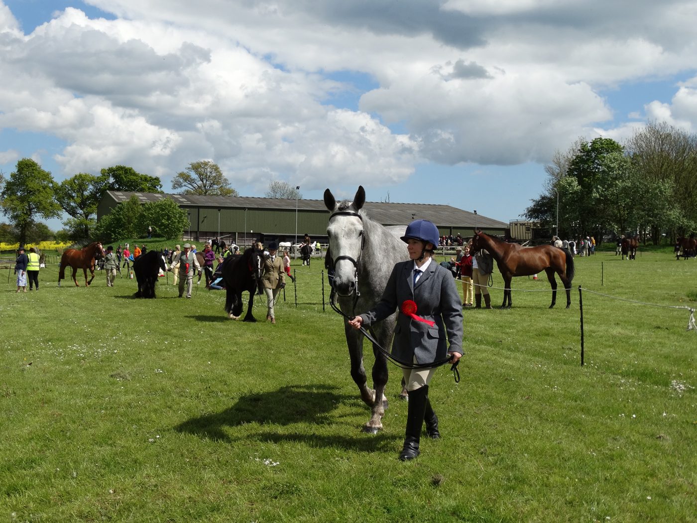 Redwings-Show-2019-2-e1559662053872.jpg
