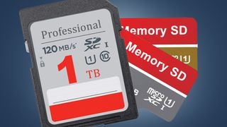 Three memory cards on a blue background