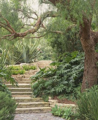 garden path ideas using a winding shape through foliage and plants