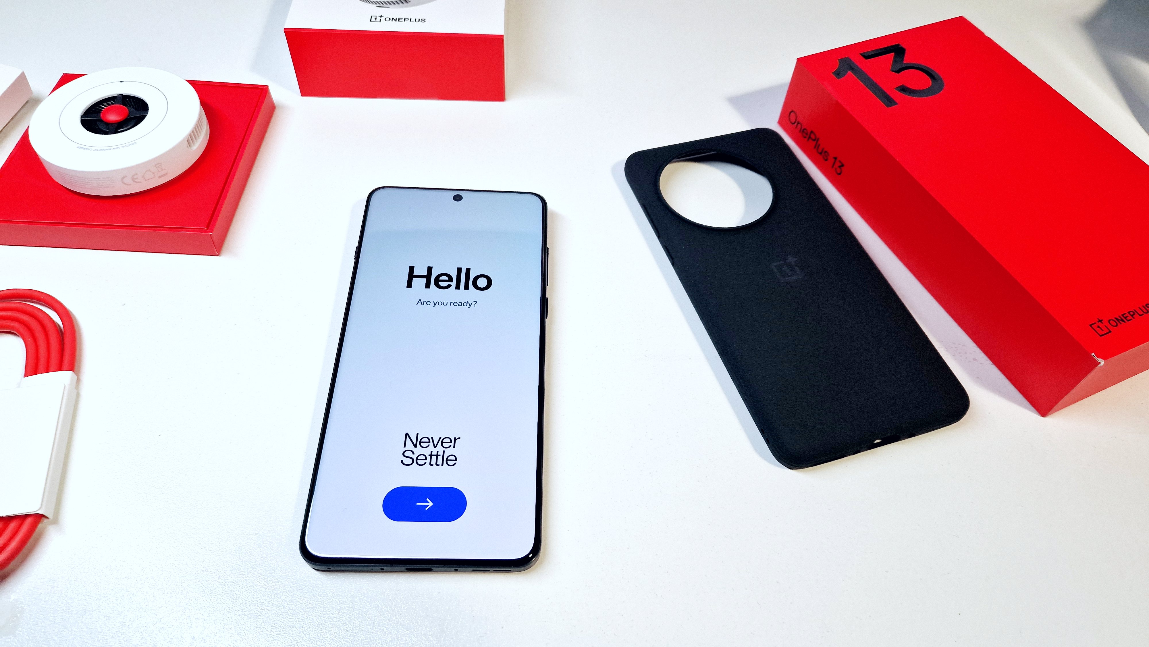 OnePlus 13