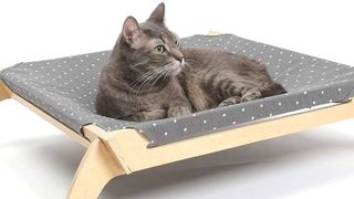 Primetime Petz cat bed