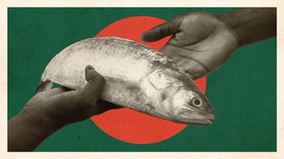 Photo collage of a hand handing another hand a hilsa fish. The background is the flag of Bangladesh.